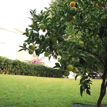 With Parking Space - 8593 Appartement *