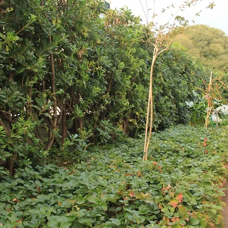 With Parking Space - 8593 * Dubrovnik
