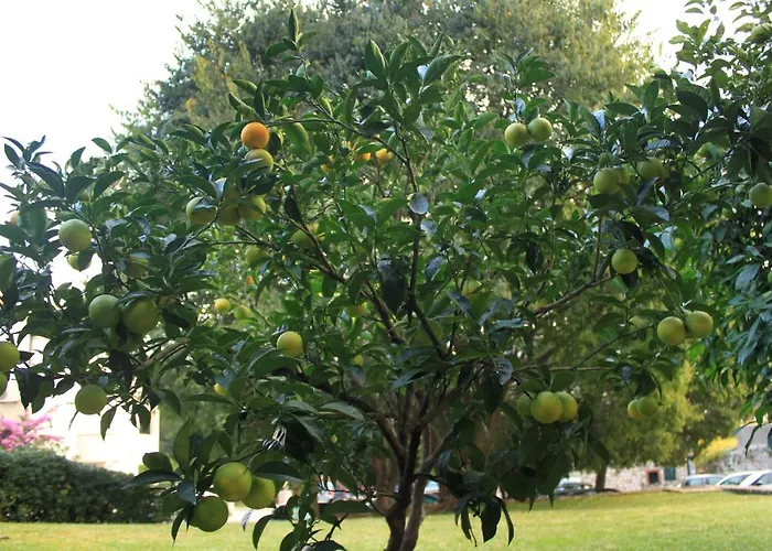Apartmán With Parking Space - 8593 *
