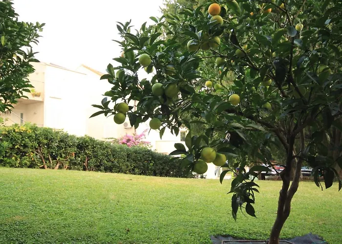 With Parking Space - 8593 Apartmán *