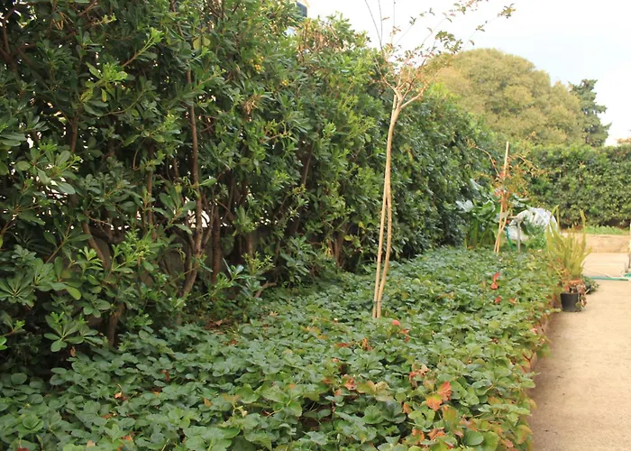 With Parking Space - 8593 * Dubrovník