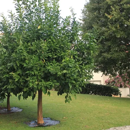 With Parking Space - 8593 *